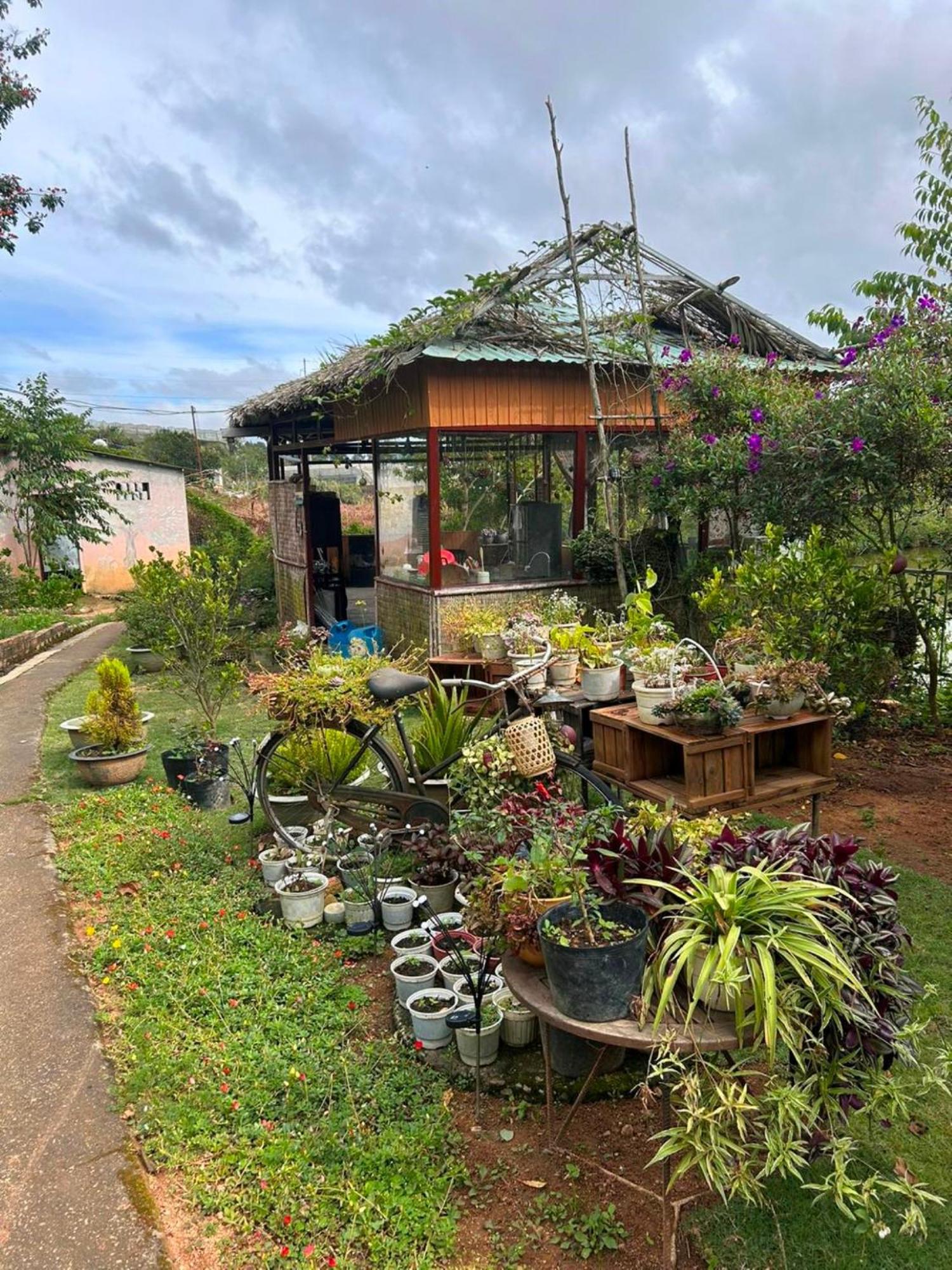 Nha Ben Ho - Da Lat Homestay Exterior photo