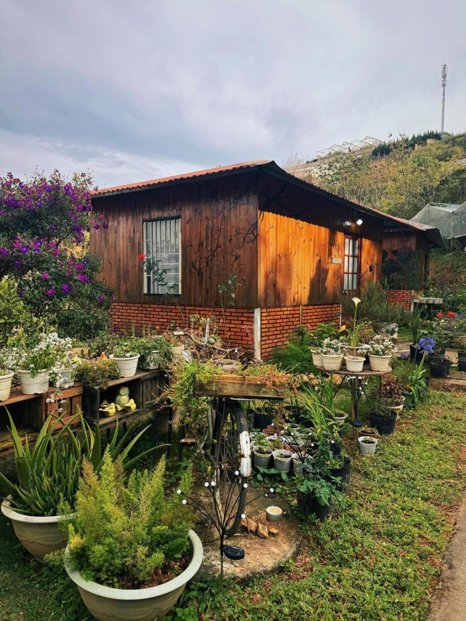 Nha Ben Ho - Da Lat Homestay Exterior photo