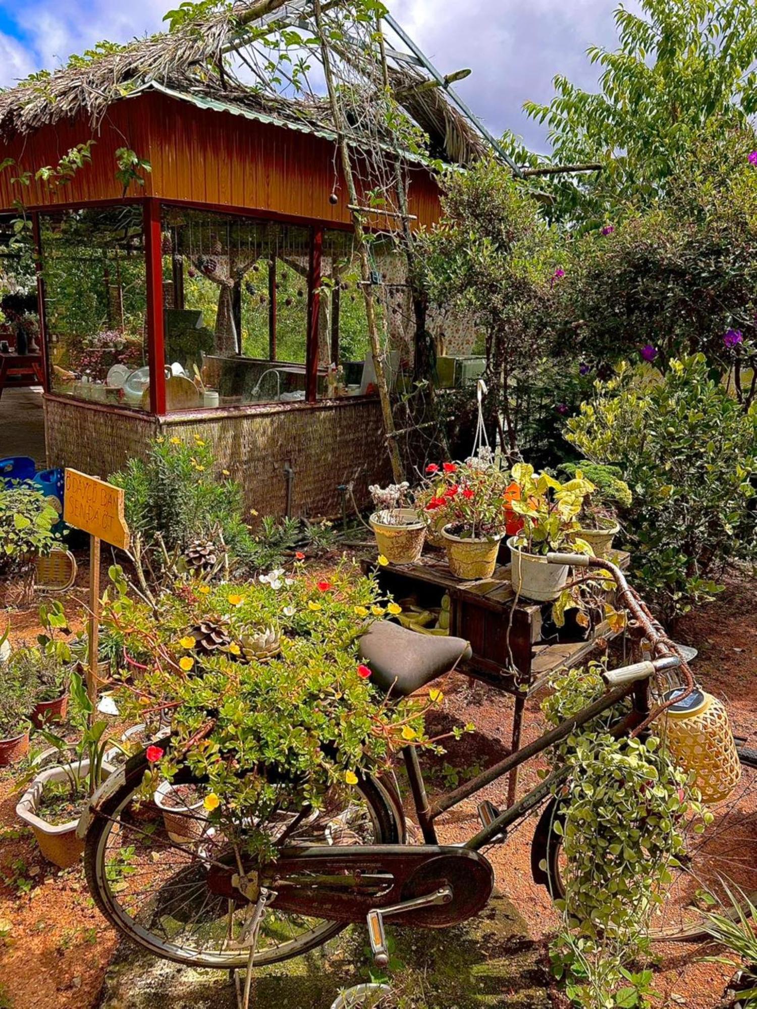 Nha Ben Ho - Da Lat Homestay Exterior photo